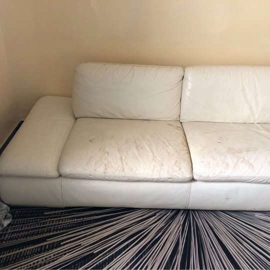 canape-en-cuir-de-buffle-blanc-big-2