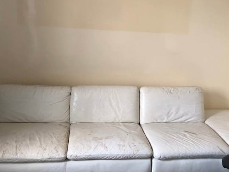 canape-en-cuir-de-buffle-blanc